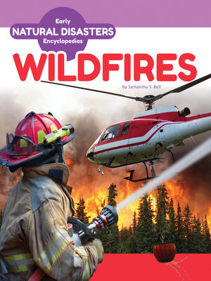 cover image of Wildfires